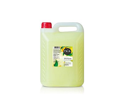 Λεμόνι Dressing ΓΑΙΑ 4Lt