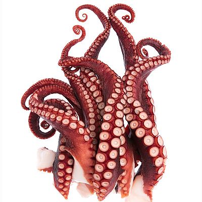 Χταπόδι ξυδάτο Πλοκάμι Τάπερ 2kg(1,2kg στραγγιστό)